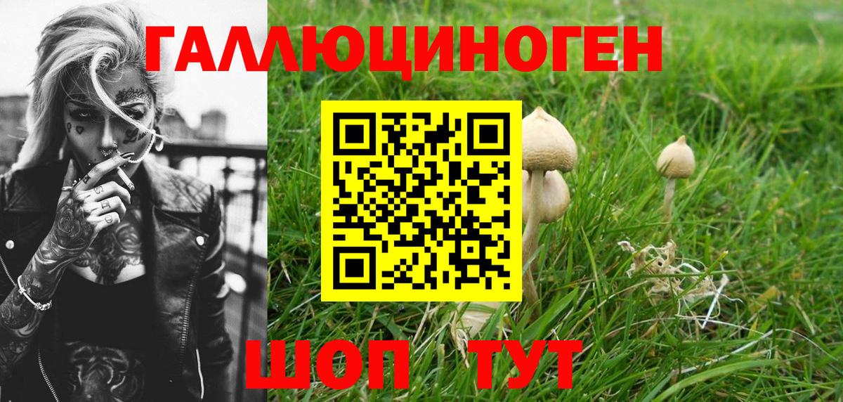 Галлюциногенные грибы Cubensis  Вход с VPN  Заинск 